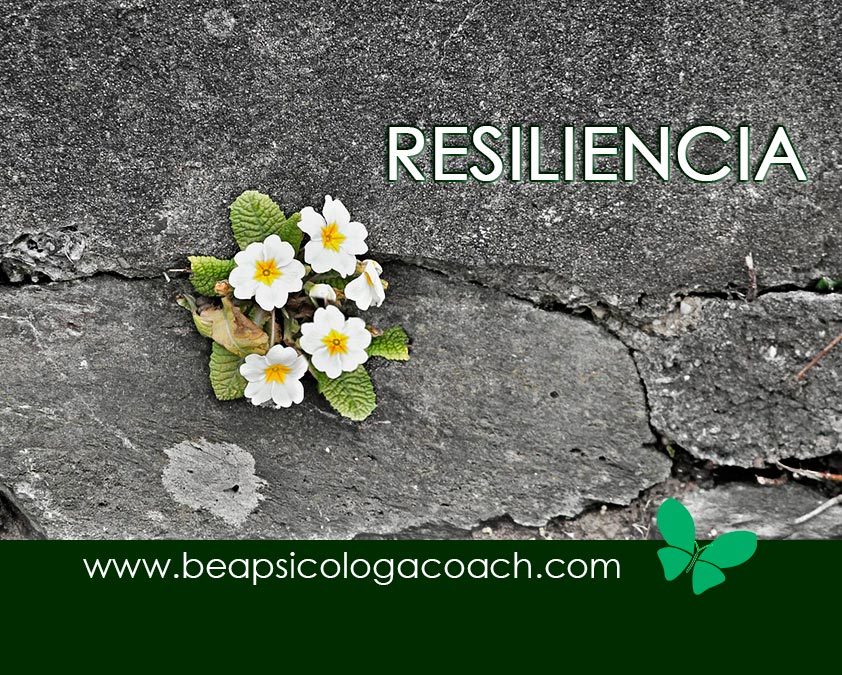 Resiliencia, una de las claves para manejar el estrés
